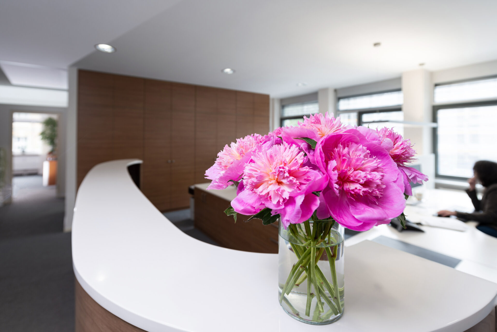 Blumen im Büro Eingangsbereich DOMINO Bau